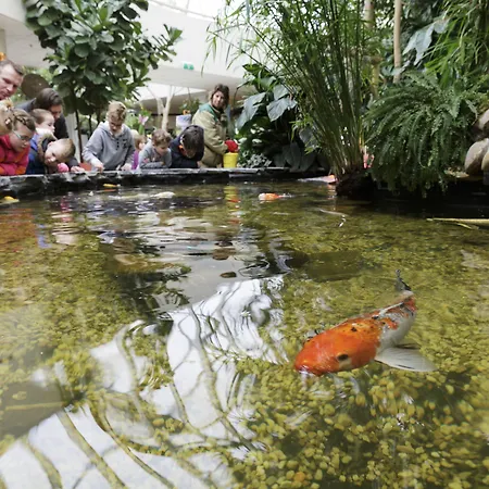 Ferienpark Center Parcs