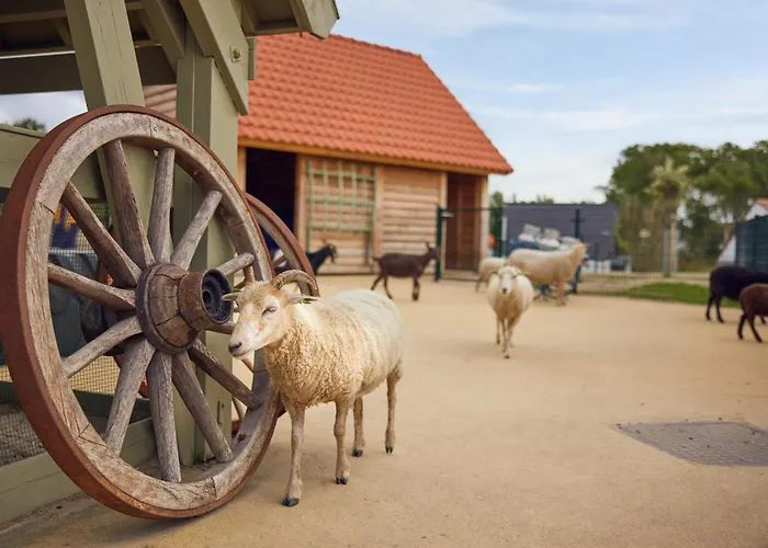 Center Parcs Parco vacanze Zandvoort
