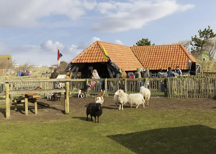 赞德沃特海滩中心公园酒店 4*